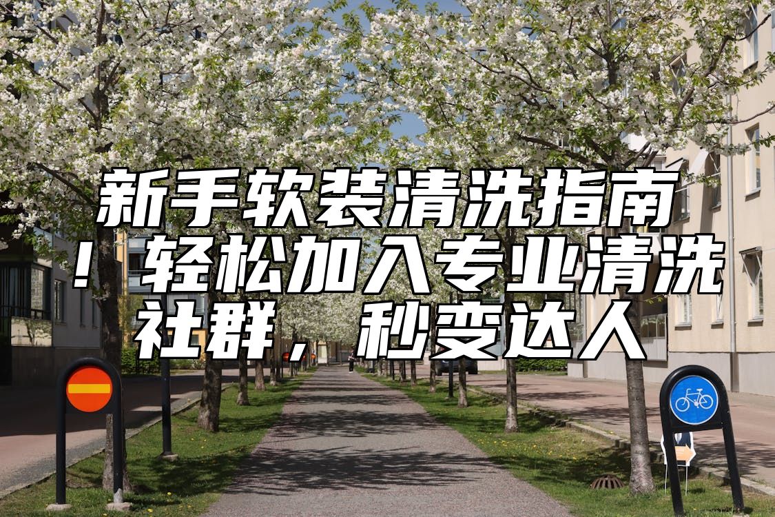 新手软装清洗指南！轻松加入专业清洗社群，秒变达人 