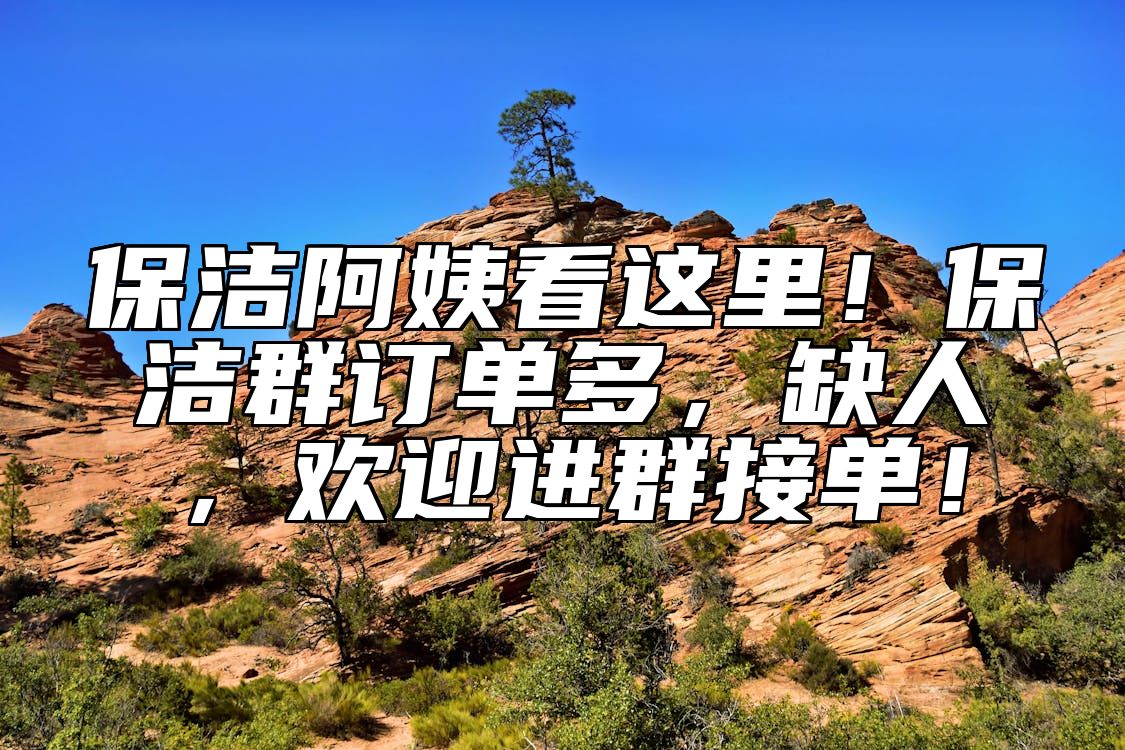 保洁阿姨看这里！保洁群订单多，缺人，欢迎进群接单！ 