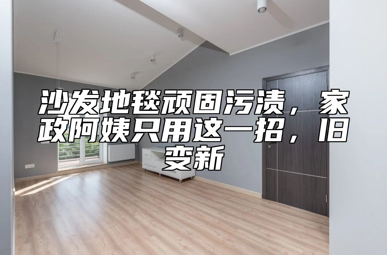 沙发地毯顽固污渍,家政阿姨只用这一招,旧变新