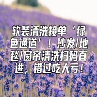 软装清洗接单‘绿色通道’！沙发/地毯/窗帘清洗扫码直进，错过吃大亏！